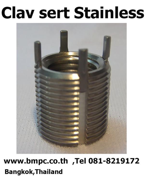 Brass insert type D, พุกเกลียวทองเหลือง, Amecoil, Schnorr