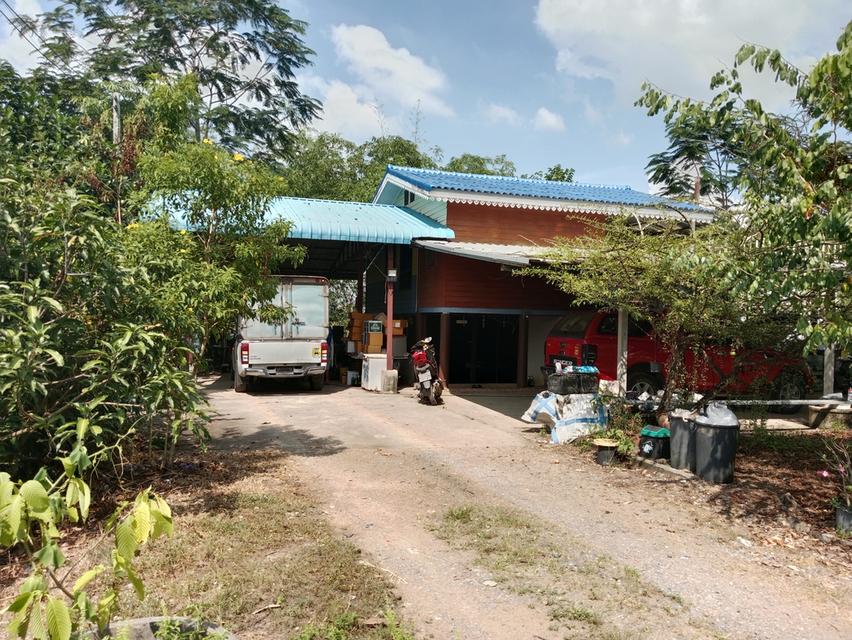ขายบ้านสวน2ไร่ คลองหก คลองหลวง ปทุมธานี เส้นเดียวกับ ม.ราชมงคลคลองหก 2