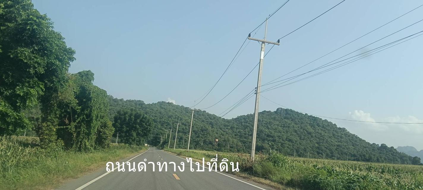 ขายที่ดิน 8 ไร่ อ.พระพุทธบาท สระบุรี ไร่ละ 3 แสน 11