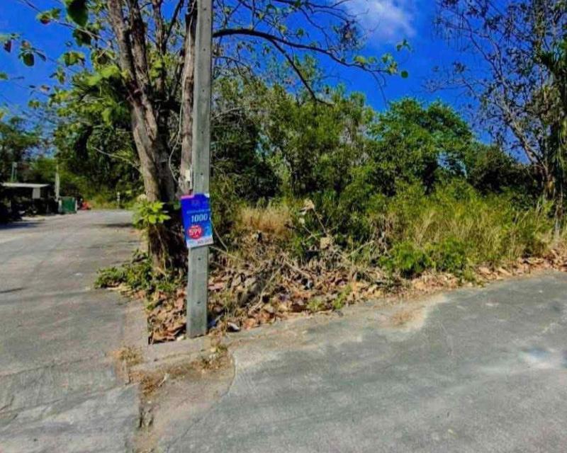 ขายที่ดินห้วยใหญ่ 100 ตรว. ซอยชากนอก19 แปลงหัวมุมติดถนน2ด้านใกล้หาดจอมเทียน-7กม. อ.บางละมุง ชลบุรี 2