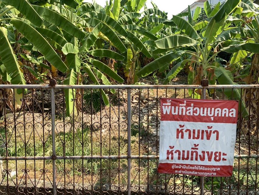 ขายที่ดินปุณณวิถี20 สุขุมวิท101 เดินไป BTS 850 เมตร ที่ดิน Punnawithi 136 ตร.ว ใกล้รถไฟฟ้า ใกล้ห้าง ซีคอนศรีนครินทร์ เซ็นทรัลบางนา ขายถูก 0879074045 2