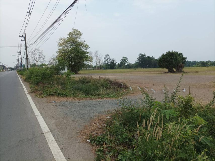ขายที่ดินถมแล้ว108ไร่ ต.แม่คือ อ.ดอยสะเก็ด จ.เชียงใหม่ 18