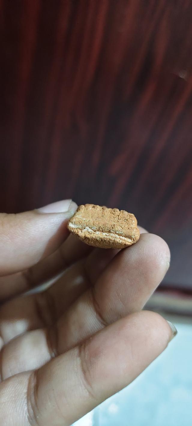 ปล่อยแบ่งปัน แบ่งบูชา รูปที่ 8