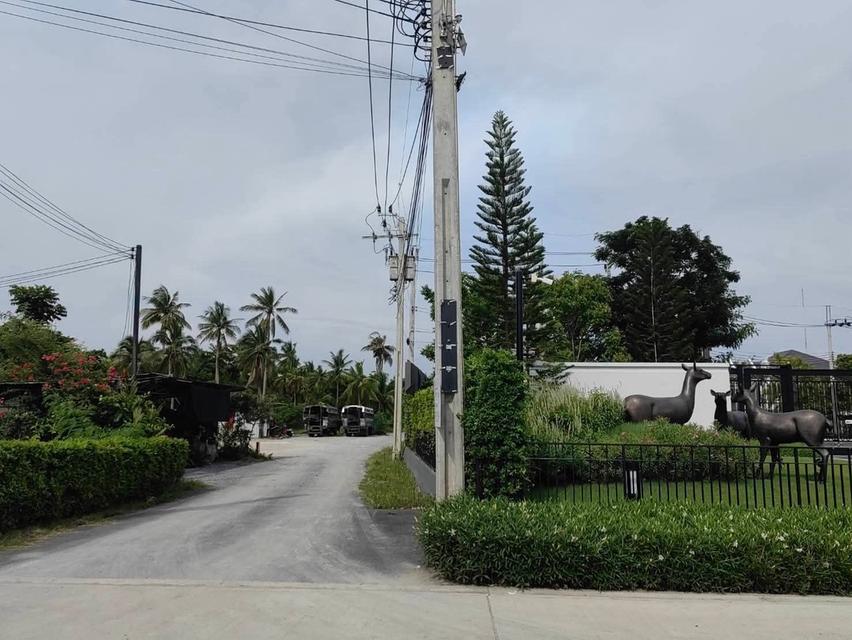 [ขายที่ดิน]]] ถนนพระรามสองต้นๆ 📍ซอยอนามัยงามเจริญ 25 แยก2-5 บางขุนเทียน บางมด กรุงเทพมหานคร 🔥 ที่สวยมากๆ ติดโครงการใหม่บ้านเดี่ยวระดับLuxury หลายโคร 1