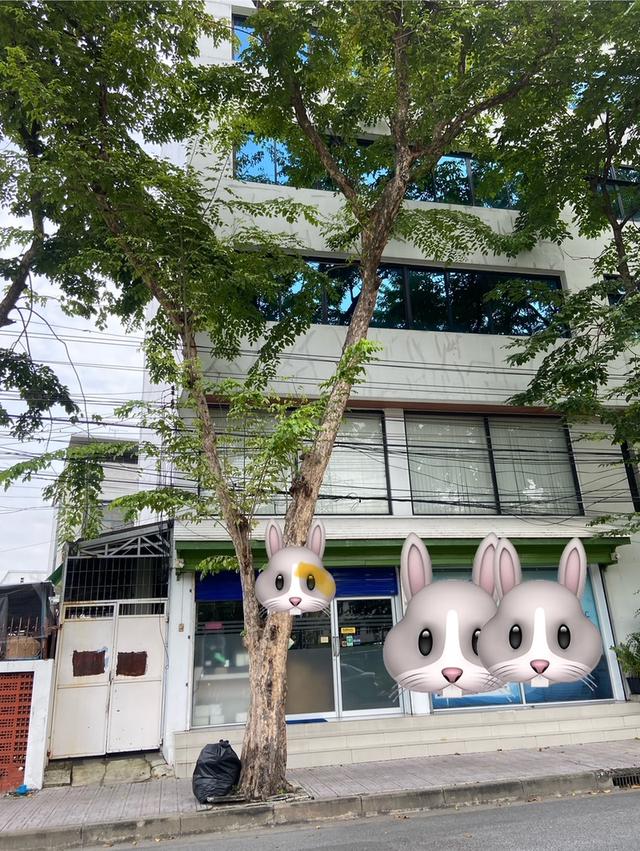 อาคารสำนักงาน 5 ชั้น ย่านประชาชื่น 1