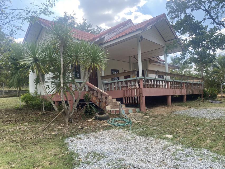 ไร่ชมจันทร์ วังน้ำเขียว 14ไร่ 10