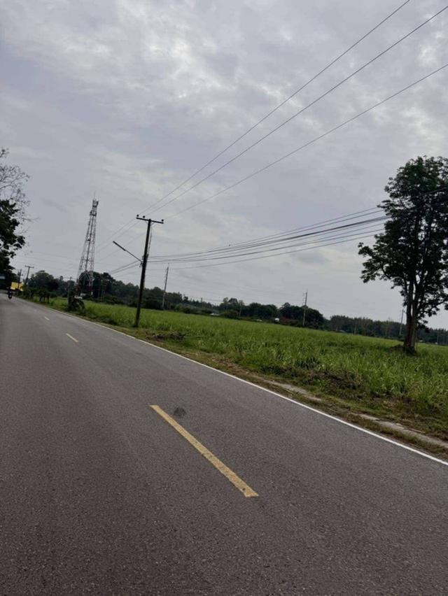 ขายที่ดิน 9