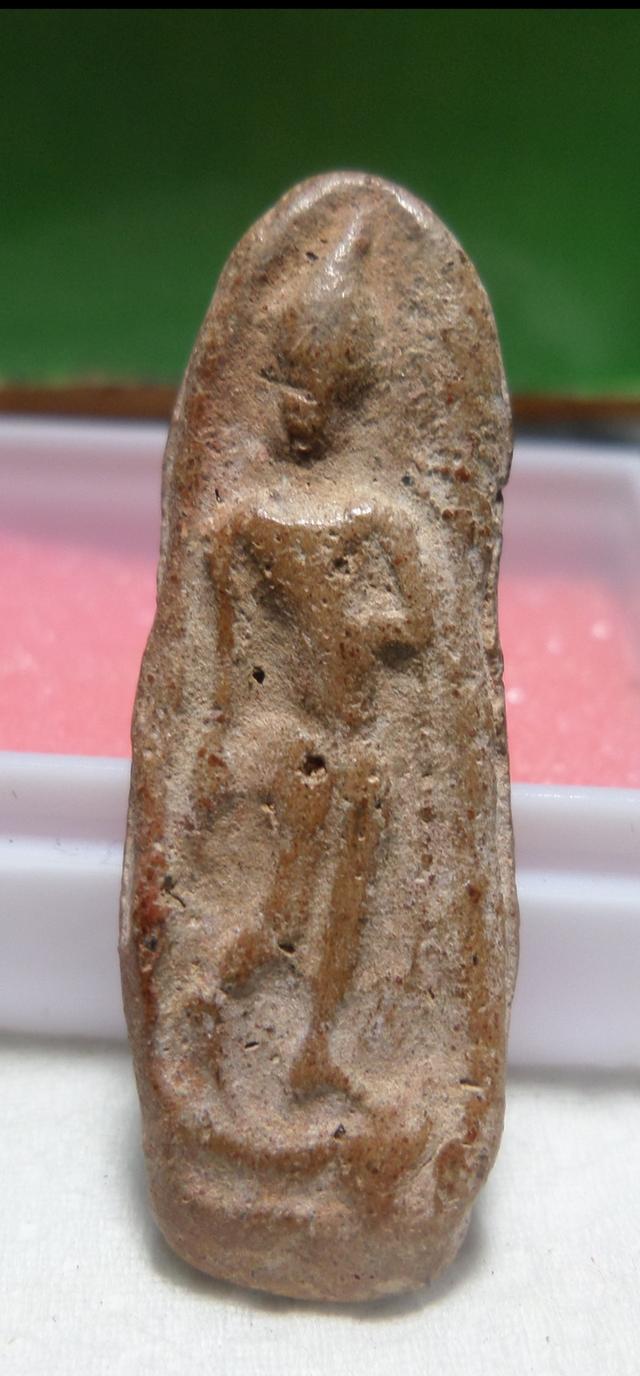 กำแพงพลูจีบพิมพ์เล็ก 2