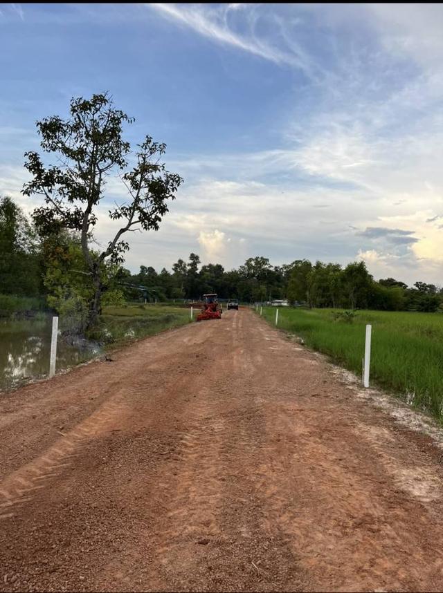 ขายที่ดินแถวคลองชลประทานใกล้สนามบินสกลนคร 1