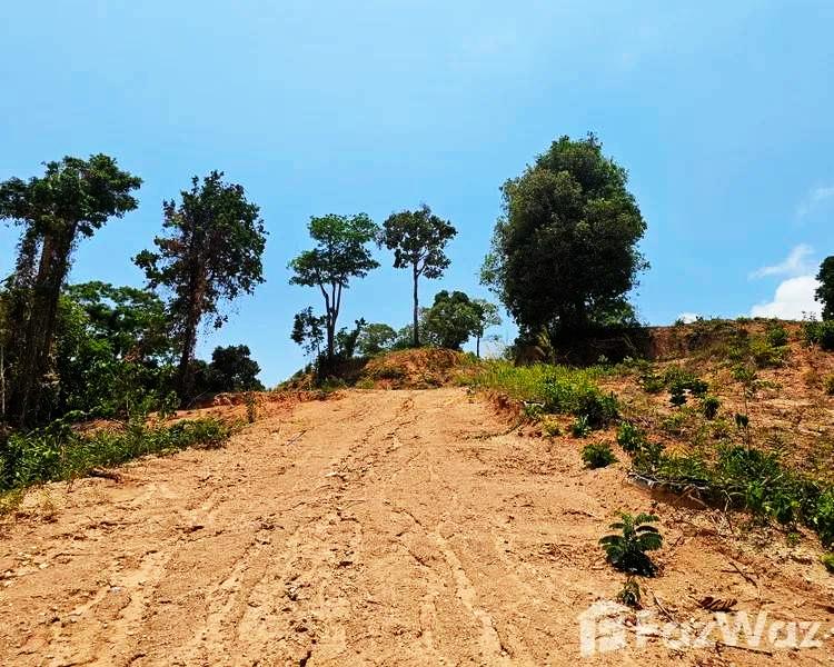 ขายที่ดินทำเลทอง 21.5 ไร่ ในภูเก็ต กะทู้ ป่าตอง Prime Land for Sale 21.5 Rai in Phuket Kathu District,Patong ตัดใจขายออกไปลดASSETส่วนตัวแต่เพื่อท่านๆ 12