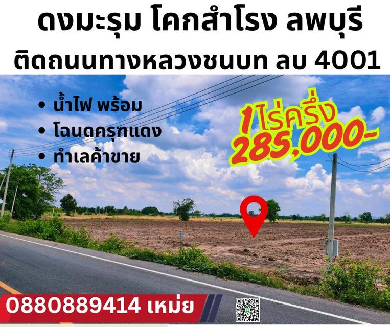 ที่ดิน ดงมะรุม โคกสำโรง ลพบุรี ติดถนนลาดยาง 