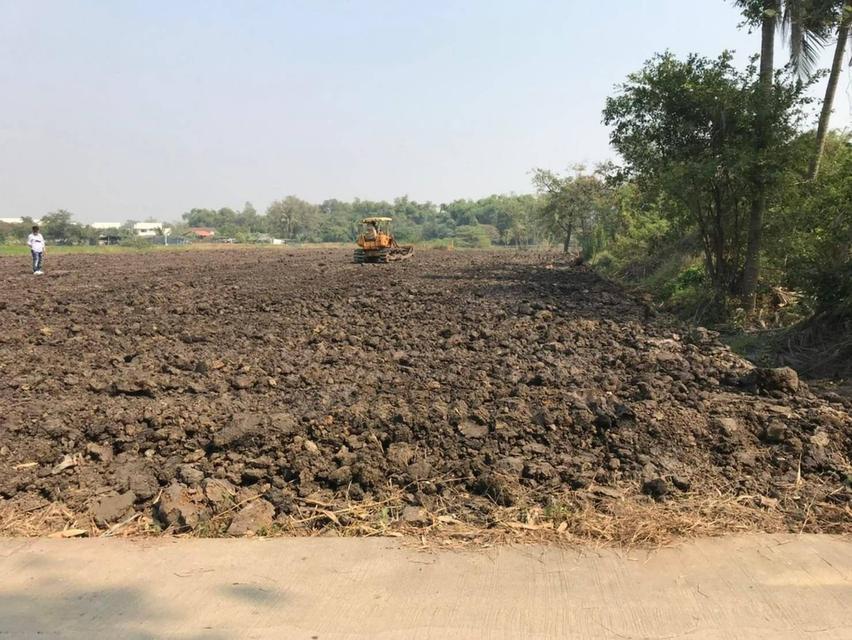 ที่ดินเปล่าถมแล้วราคา 3.5 ล้านบาท 6