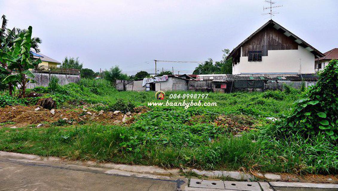 ขายที่ดิน พุทธมณฑล สาย1 272 ตร.วา