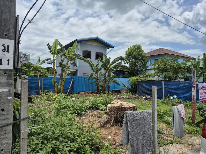 ขายที่ดิน พิกัดเคหะหนองจอก เนื้อที่ 39 ตรว 3