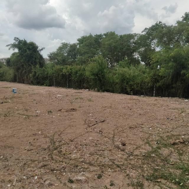 ขายที่ดินเปล่า สระบุรี อำเภอวิหารแดง 2