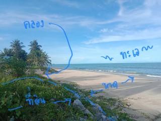 ขาย 3 ล. ที่ติดทะเล 1ไร่ 24วา ติดหาดยาว 67 เมตรอยู่ระโนด สงขลา  3