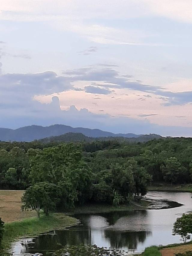 ที่ดินเชียงราย165ไร่ 4