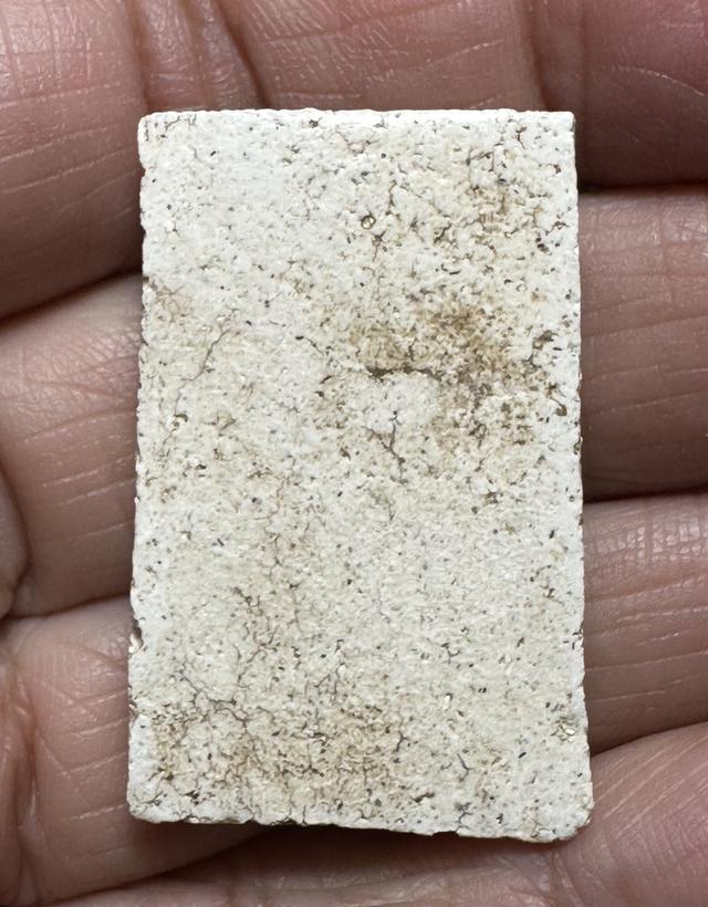 พระสมเด็จล.ป.ภู พิมพ์แขนกลม รูปที่ 2