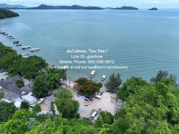 พื้นที่ดิน ขายที่ดินสวนป่า บนเนินไหล่เขา วิวทะเล (Seaview) เกาะสิเหร่ ภูเก็ต 5-0-48.7 ไร่ (ห่างชายทะเล 100 ม.), ราคา 76, 2