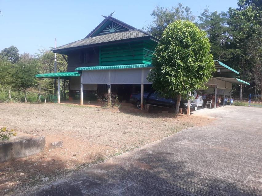 ขายบ้านพร้อมที่ดิน บ้านไม้สัก