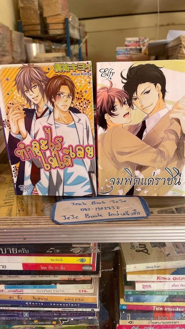 หนังสือการ์ตูน วาย BL เล่มเดียวจบ