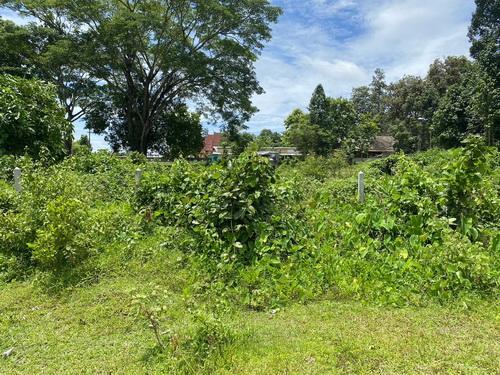 ขายที่ดิน 3-1-59 ไร่ เชียงราย – ทำเลดี ติดถนนลาดยาง เหมาะสร้างบ้าน & เกษตรกรรม 8