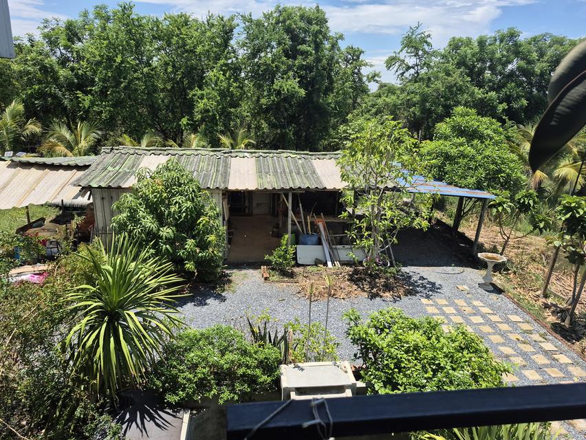 บ้านพร้อมที่ดินทำสวนเกษตร 20