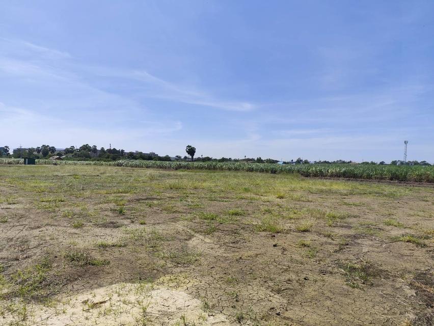 ขายที่ดิน กำแพงแสน นครปฐม แบ่งขายได้ ใกล้ ม.เกษตรศาสตร์ 7