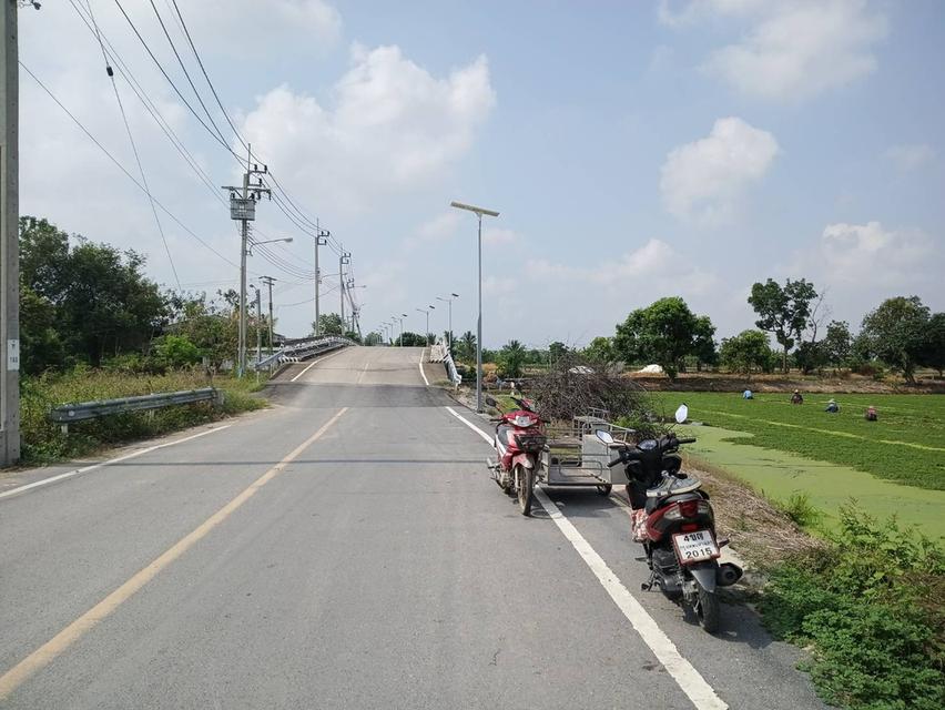 ขายที่ดิน วัดหนองปลือ สมุทรปราการ 2