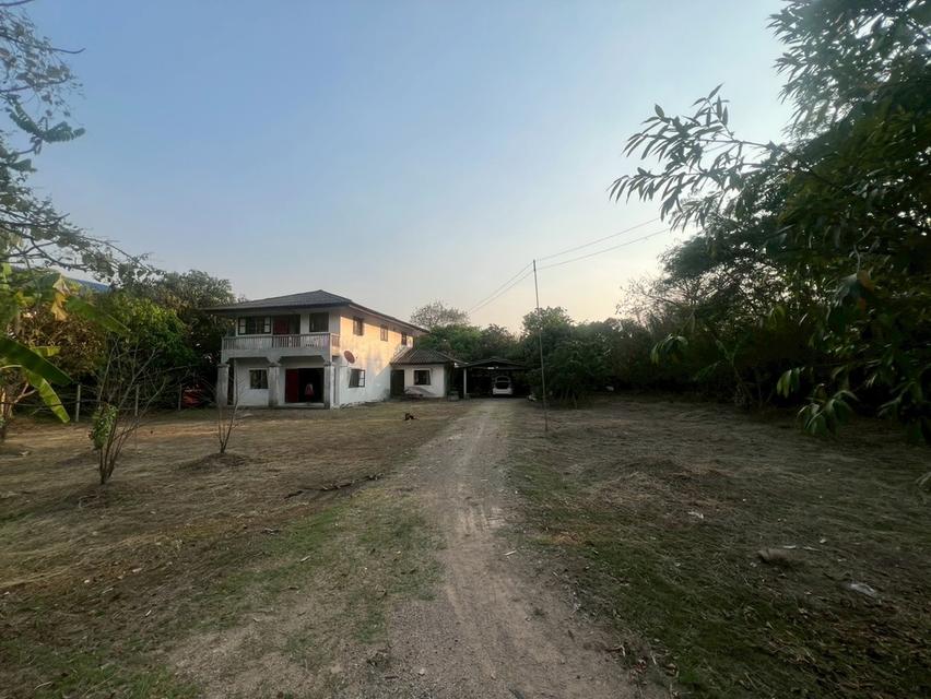 ขายบ้านพร้อมที่ดิน ในพื้นที่ 425 ตรว. จ.ลำพูน 1