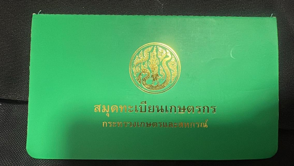 สวนทุเรียนราคาถูก ไร่ละ 9 หมื่น 38 ไร่ 11