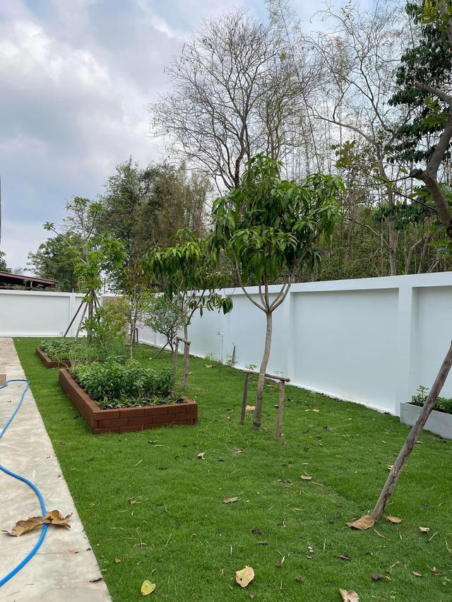 ขายบ้านบิ้วอินพร้อมอยู่เฟอร์นิเจอร์ครบเนื้อที่ 366 ตรว. 3ห้องนอน สายบ้านหลังถ้ำ-บ้านทาม ใกล้นิคม304-9กม. อ.ศรีมหาโพธิ ปราจีนบุรี