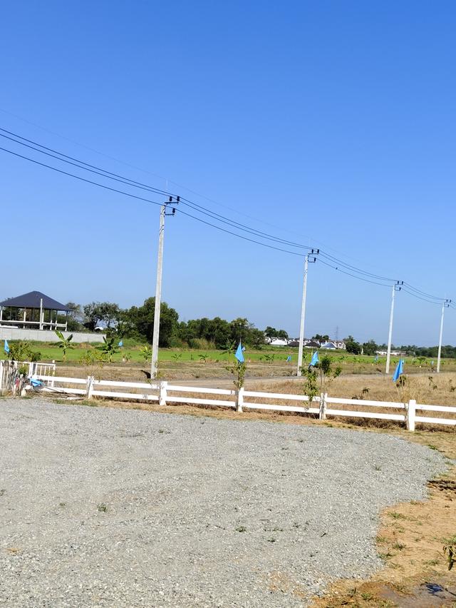 ขายที่ดินสวยหนองจอก กทม ถมแล้วมีน้ำมีไฟฟ้า ตัดแปลงเริ่มต้น 100 ตรว 1