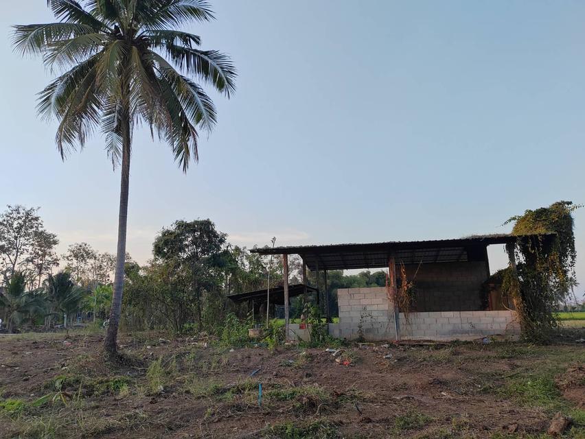 ขายที่ดินหน้ากว้าง รูปทรงชายธง ทำเลดีมาก – ต.ย่านยาว อ.เมือง จ.พิจิตร 4