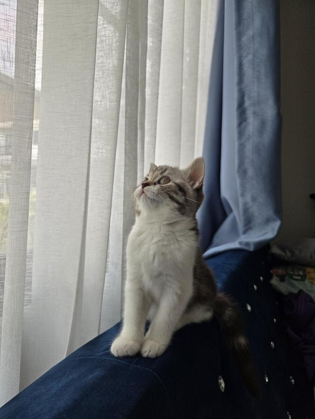 เด็กหญิง พร้อมย้าย พ่อแม่พกใบเพ็ดทั้งคู่ รูปที่ 7