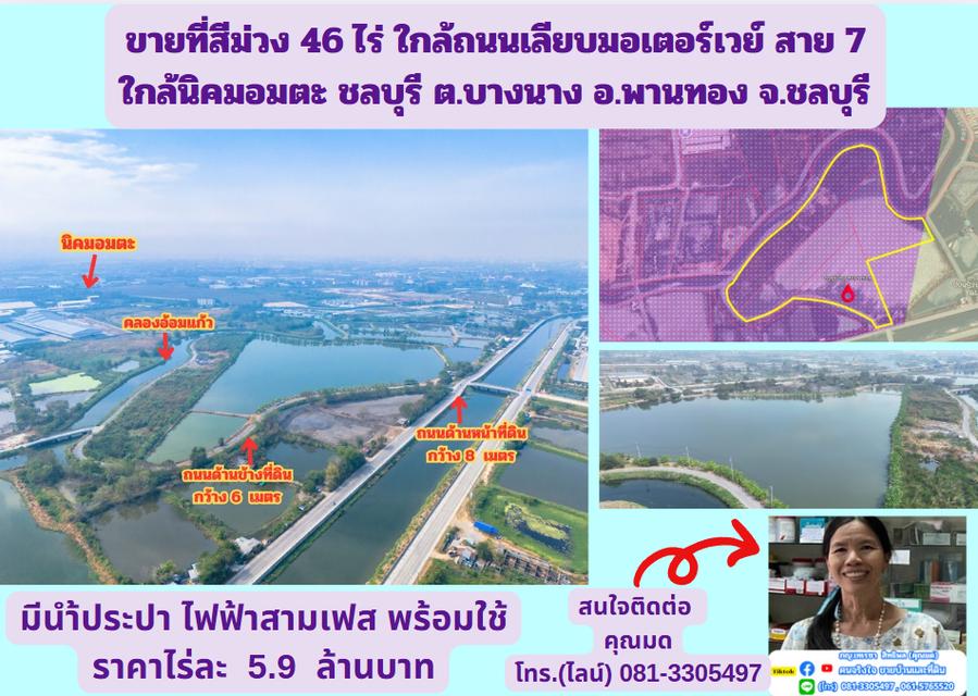 ขายที่สีม่วง 46 ไร่ ใกล้ถนนเลียบมอเตอร์เวย์ สาย 7 ใกล้นิคมอมตะ ชลบุรี  ต.บางนาง อ.พานทอง จ.ชลบุรี 1