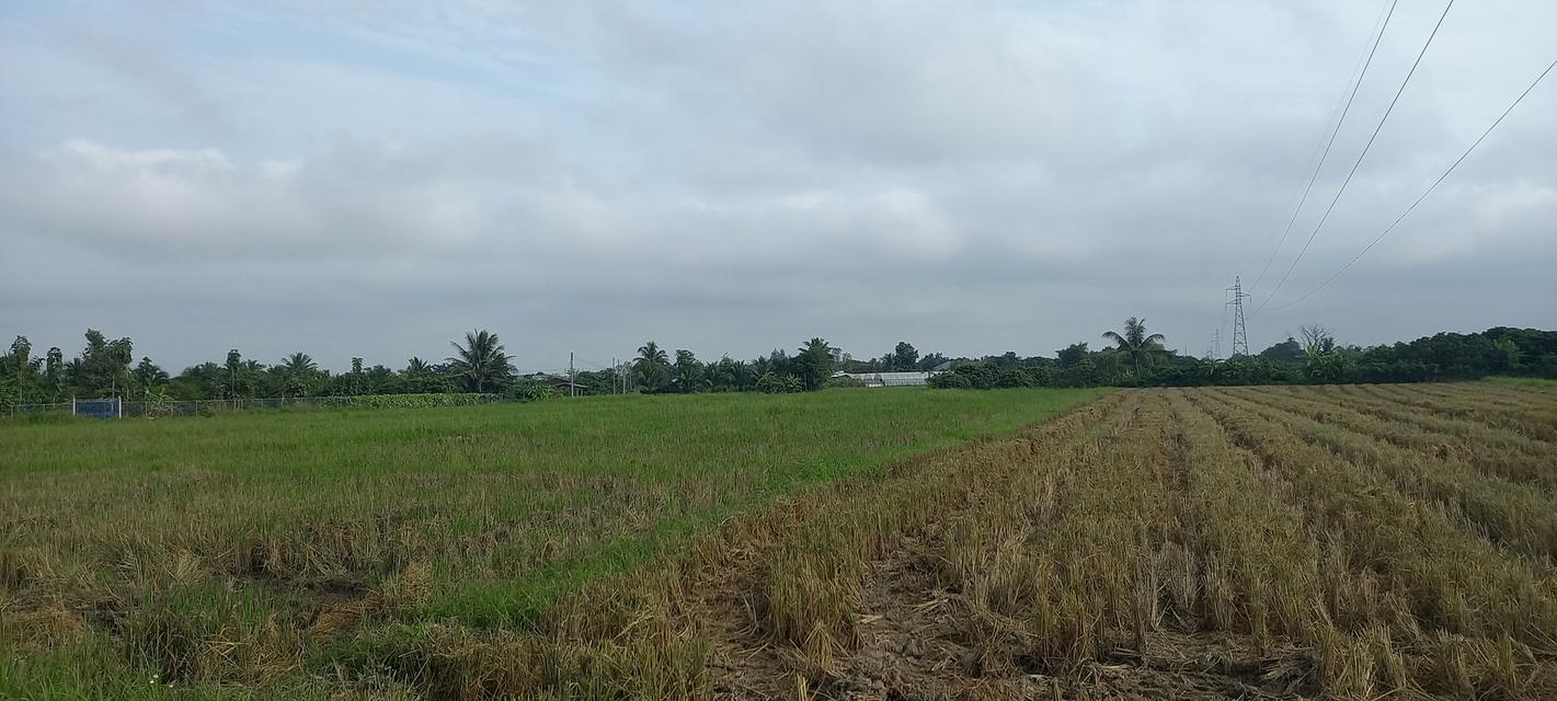 ที่ดินในอำเภอเมืองลำพูน 6