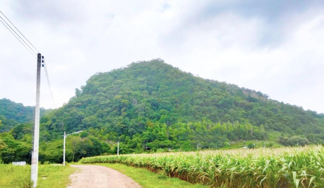 ขายที่ดินเปล่า ทำเลดี ราคาถูก อำเภอแก่งคอย จังหวัดสระบุรี  ไร่ละ 550000 3