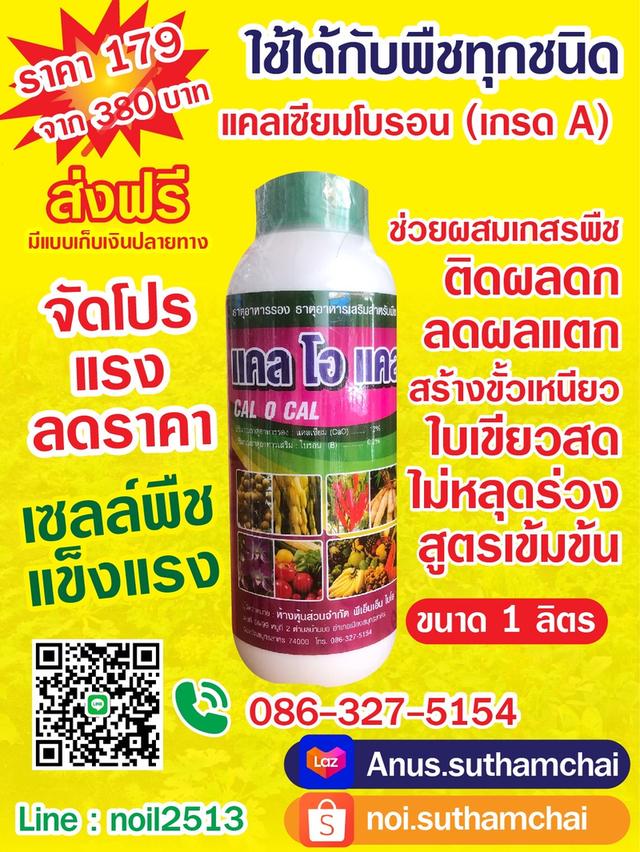 ฮอร์โมนพืช 1 ลิตรและรับจ้างผลิต