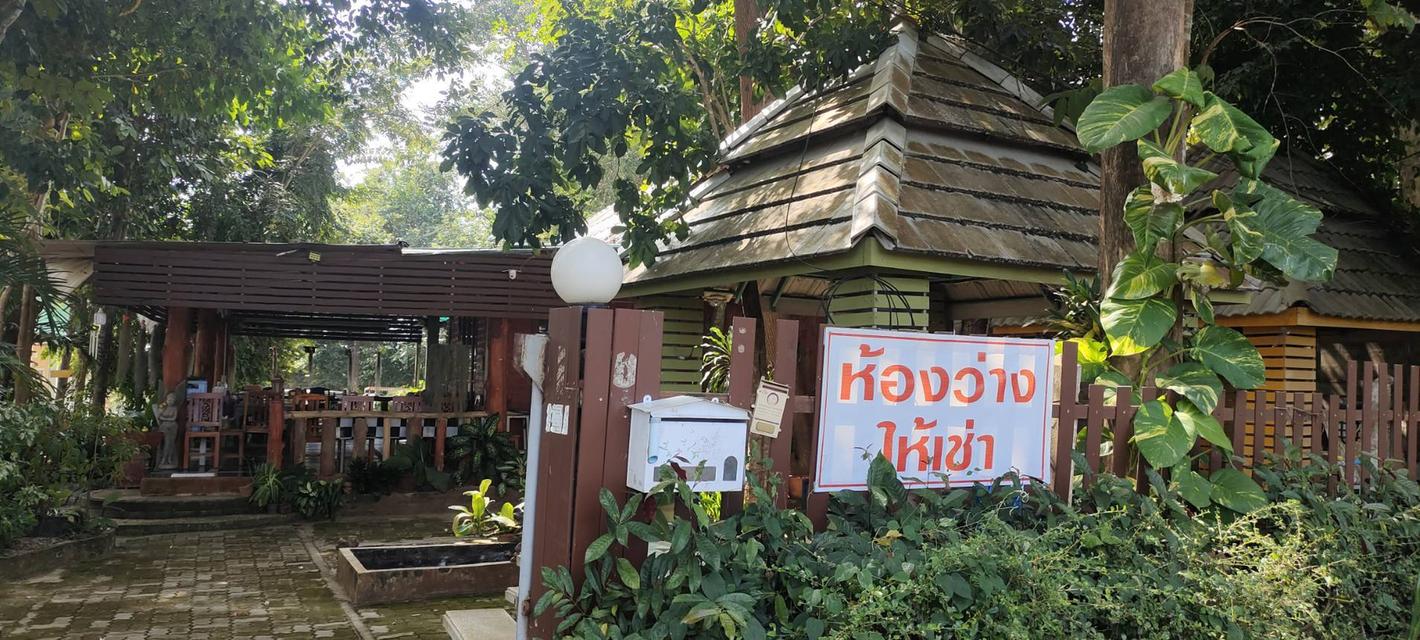 ที่ดินพร้อมสิ่งปลูกสร้างพอพัก ค้านอาหารบ้านพัก อ.เมืองจ.พะเยา 13