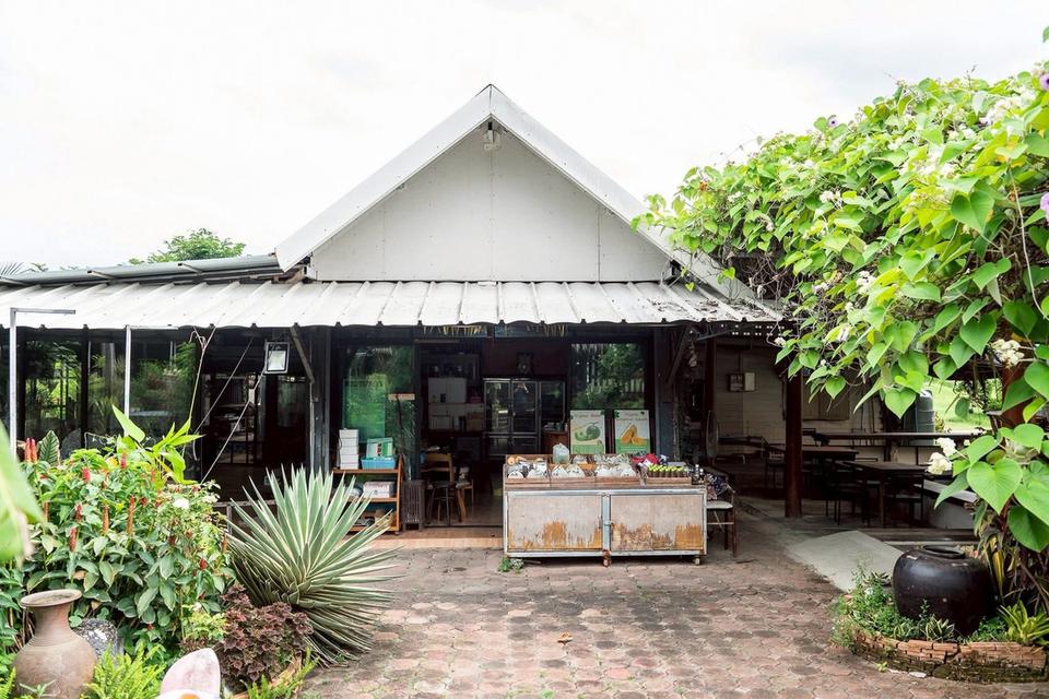 ที่ดินพร้อมสิ่งปลูกสร้างคาเฟ่โรงเรือน เลียบคลองทวีวัฒนาต้นทางเพชรเกษม 12