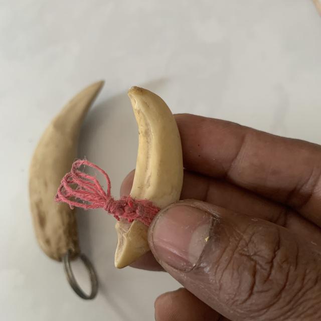 ของสะสม ไม่ทราบที่มา 3