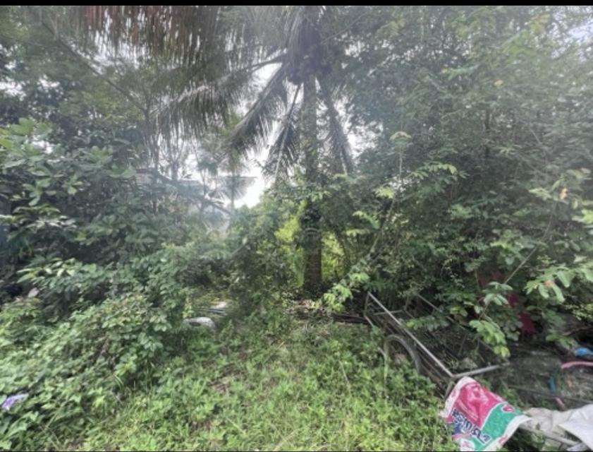 บ้านเดี่ยวพร้อมที่ดิน 2