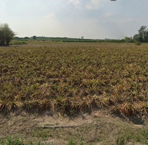 ขายที่ดินพนัสนิคมชลบุรี ขายที่ดินเนื้อที่ 90-2-17 ไร่ พื้นที่ EEC สีเหลืองอ่อน อยู่ติดถนนลาดยางสามด้าน 3