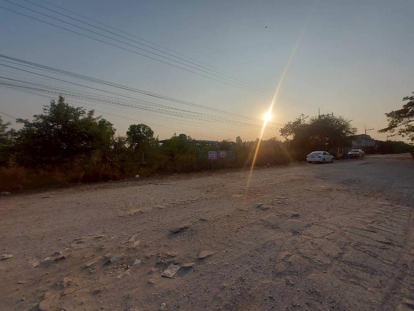 ขายที่ดินพร้อมสิ่งปลูกสร้าง ในหมู่บ้านปิ่นเจริญ ลาดหลุมแก้ว ปทุมธานี 2