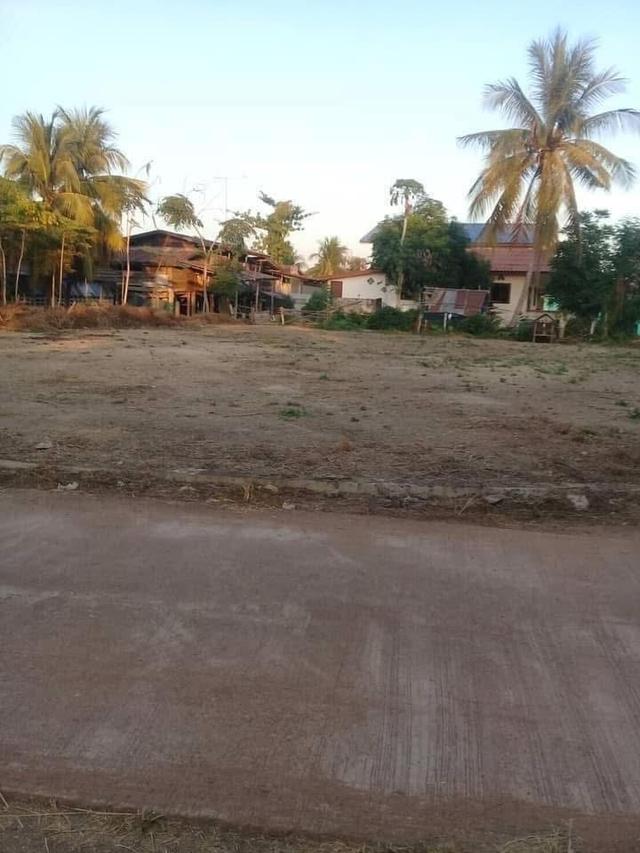 ที่ดิน สุโขทัย