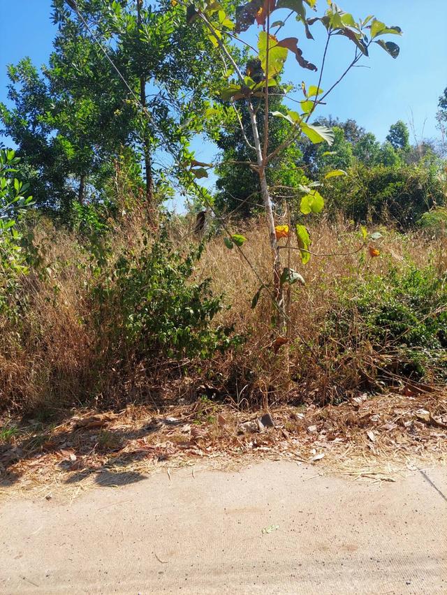 ที่ดินอ.เมืองหวัดสระแก้ว 10
