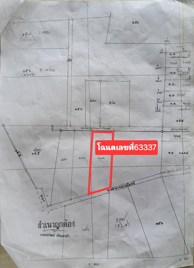 ถนนมิตรภาพ ต.กลางดง อ.ปากช่อง ที่ดินโฉนด 1 ไร่ ขาย✅ ถมแ 9