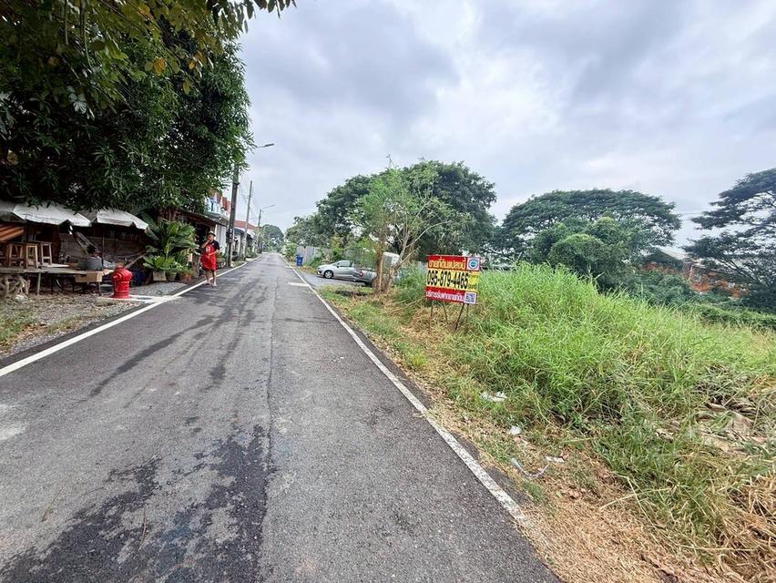 Vายถูกที่ดิน 50 ตารางวา ติดถนนลาดยางสาธารณะ ซอยสกุลช่าง บางบัวทอง นนทบุรี 6