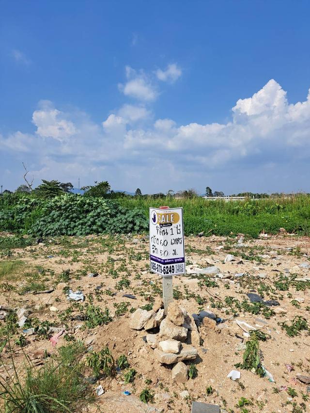 ขายด่วนที่ดินทำเลดี ศรีราชา จังหวัดชลบุรี 5